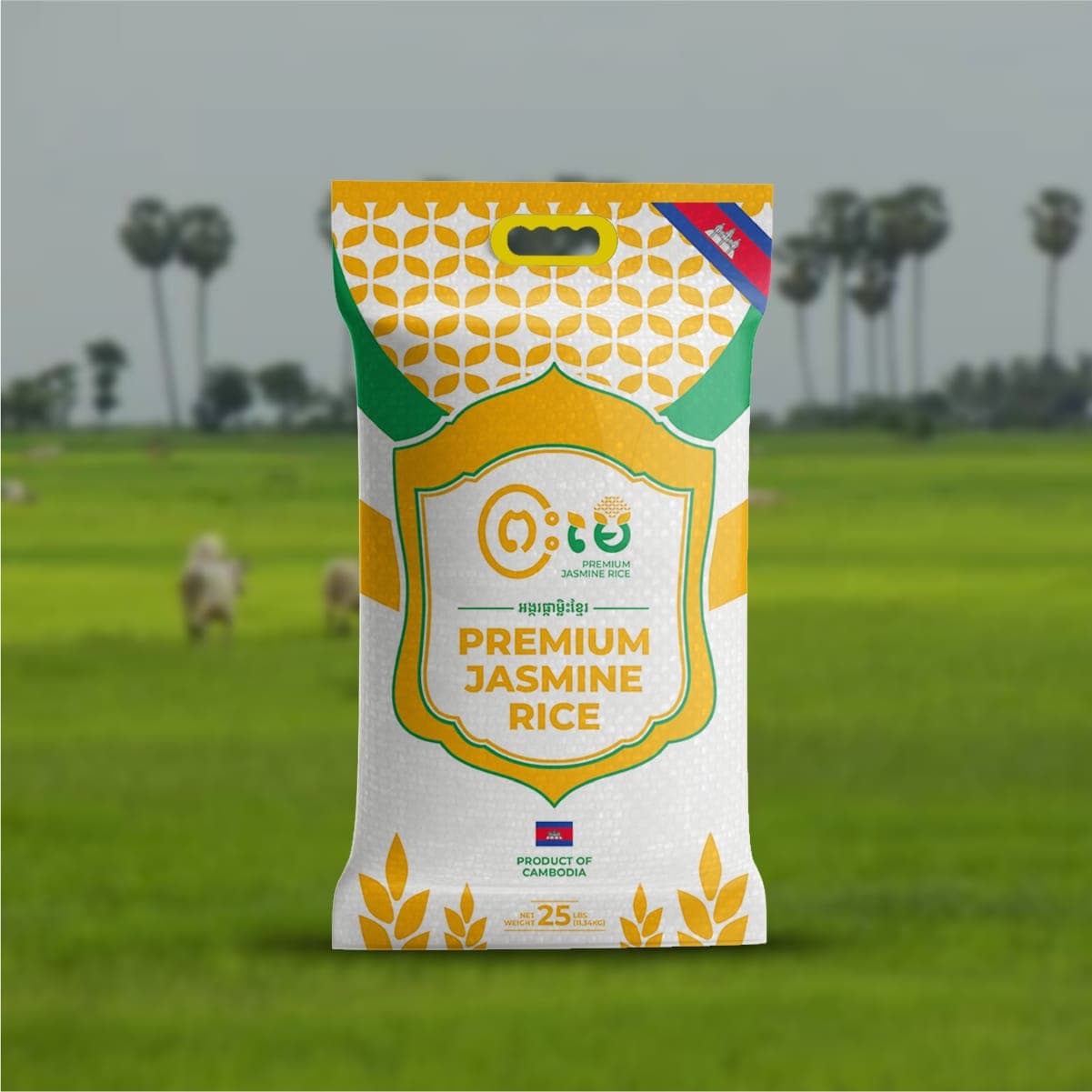 Premium Jasmine Rice 25 lb bag