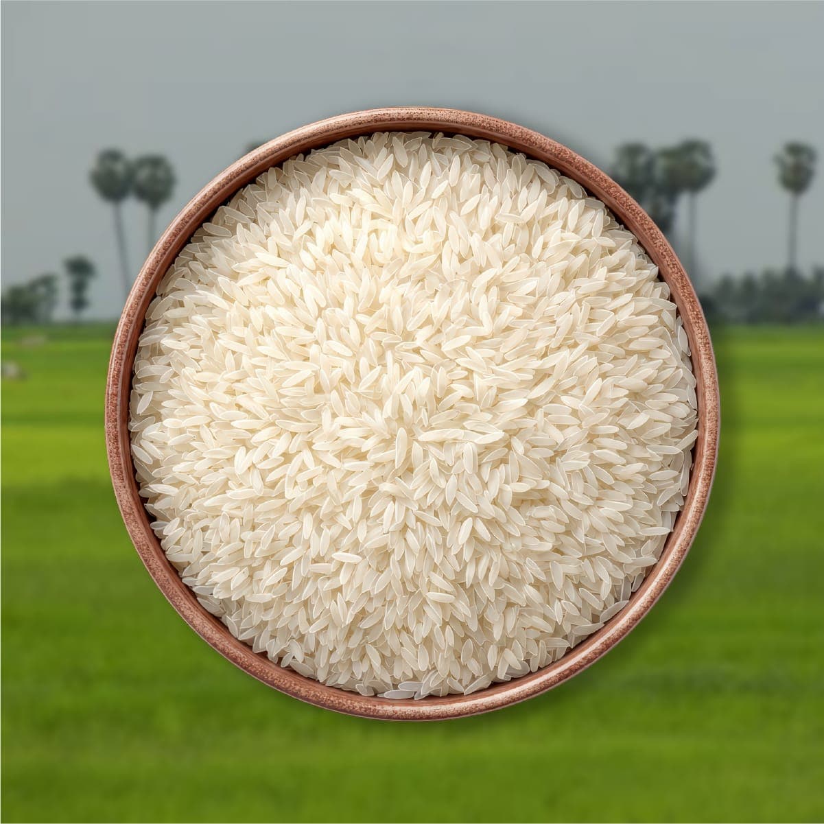 PREAH MAE Premium Jasmine Rice